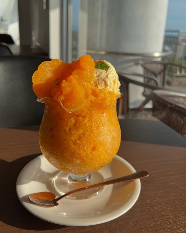 かき氷はじめました🍧

今年のかき氷は「三ヶ日みかんづくし」🍊

三ヶ日みかん100％ジュースから作る氷と
甘酸っぱいみかんジュレ
冷凍みかんとバニラアイスを添えて
ボリューム満点のかき氷が出来上がりました✨️

2名様以上で召し上がってください♡♡
ハーフサイズのご用意もありますよ🤗

明日から雨が続きます☔️
室内ドッグランで走り回った後は
カフェでクールダウン🧊❄️
かき氷はいかがですか？🍧*°

ꕤ••┈┈┈┈••ꕤ＋ꕤ••┈┈┈┈••ꕤꕤ••┈┈┈┈••ꕤ

☕️OPEN 11:00～14:30(Lo.13:30)
🙏🏻定休日:火・水曜日
🐶ワンちゃんと一緒に利用可
‎⁦🐕大型犬も同伴可
🐾室内ドッグラン2ヶ所あり(別料金)
♨️ワンちゃんと入れる貸切風呂あり(予約制)

🏠浜松市中央区呉松町1768-1
📞053-543-9015

ꕤ••┈┈┈┈••ꕤ＋ꕤ••┈┈┈┈••ꕤꕤ••┈┈┈┈••ꕤ

#浜名湖 #浜名湖カフェ 
#浜松市カフェ #豊橋市カフェ #岡崎市カフェ 
#舘山寺 #ドッグホテル #ドッグカフェ 
#ドッグラン #ワンちゃん歓迎 #犬好きな人とつながりたい